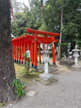 稲荷神社の参拝記録(⛩️🎠🐢まめ🐢🎠⛩️さん)