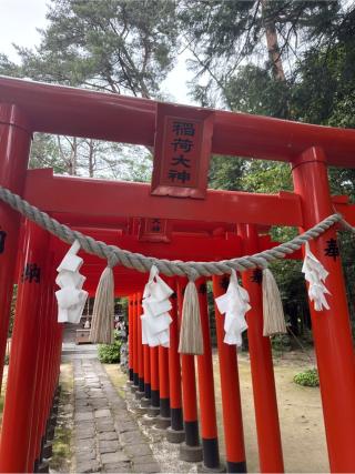 稲荷神社の参拝記録(⛩️🎠🐢まめ🐢🎠⛩️さん)