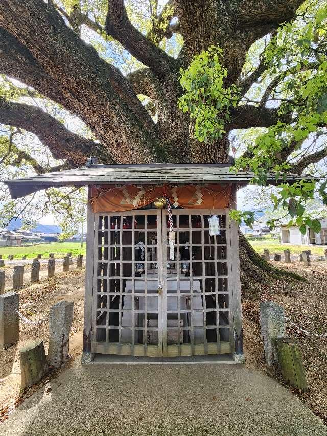 祠（加茂の大クス）の写真1