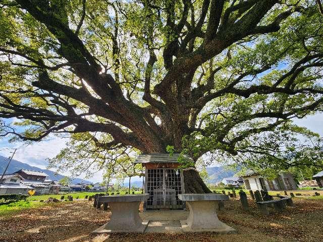祠（加茂の大クス）の参拝記録1
