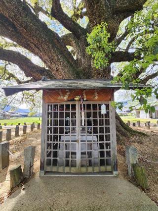 祠（加茂の大クス）の参拝記録(ろかずさん)