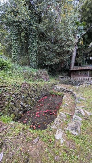 鏡池大神宮の参拝記録(こまいぬおさん)