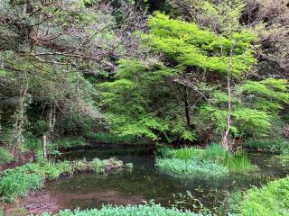 東水神宮の参拝記録(りんさん)