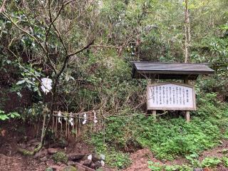 東水神宮の参拝記録(りんさん)