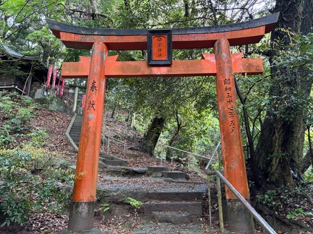 白龍稲荷神社の写真1