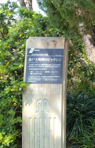 山王日吉社の参拝記録(Daisy ♂さん)