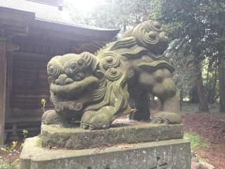 二荒神社の参拝記録(さとみさん)