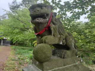 須賀神社の参拝記録(さとみさん)