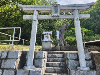 大川大仙大権現の参拝記録(ろかずさん)