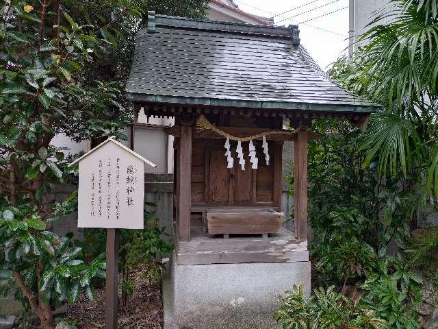 龍蛇神社(出雲大社 土佐分祠)の写真1