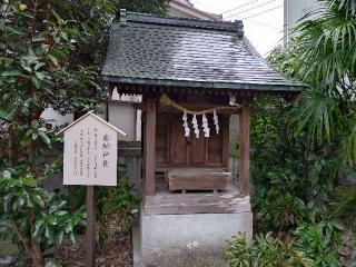 龍蛇神社(出雲大社 土佐分祠)の参拝記録(yukiさん)