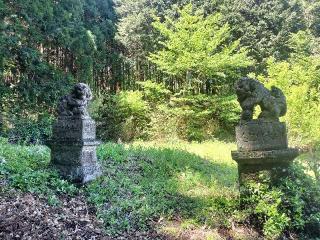 熊野神社の参拝記録(さとみさん)