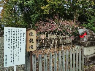 若栄社(潮江天満宮)の参拝記録(yukiさん)