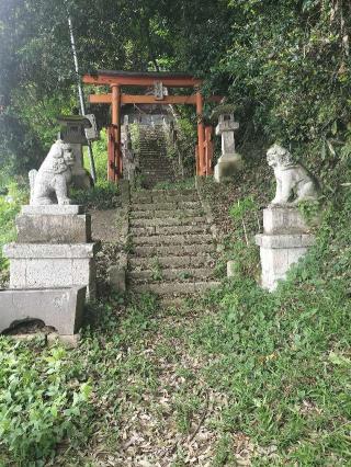 星宮神社の参拝記録(さとみさん)