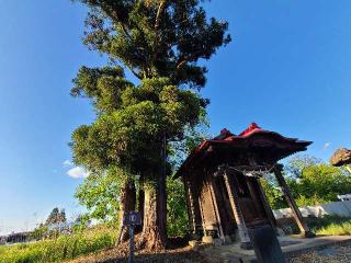 普料神社の参拝記録(でっかんさん)