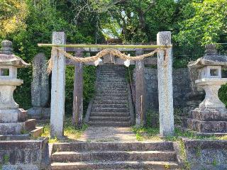 若宮八幡神社の参拝記録(風祭すぅさん)