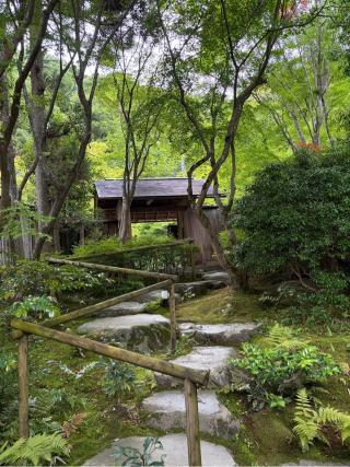 主乃雅神社の参拝記録(Kodamaさん)