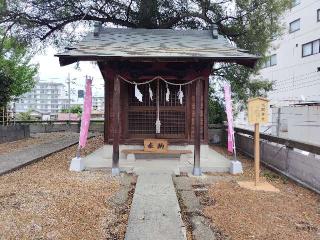 浅間神社（星宮神社）の参拝記録(優雅さん)