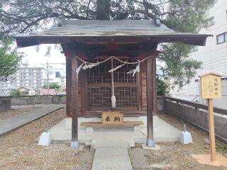 浅間神社（星宮神社）の参拝記録(優雅さん)