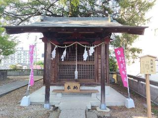 浅間神社（星宮神社）の参拝記録(優雅さん)