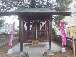 浅間神社（星宮神社）の参拝記録(優雅さん)