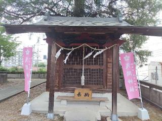 浅間神社（星宮神社）の参拝記録(優雅さん)