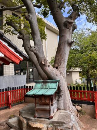 稲荷神社の参拝記録(カズさん)