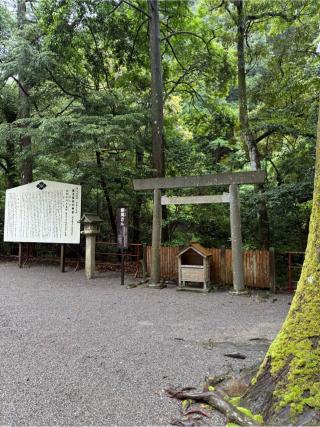 御滝さん（頭之宮四方神社　境内）の参拝記録(⛩️🎠🐢まめ🐢🎠⛩️さん)