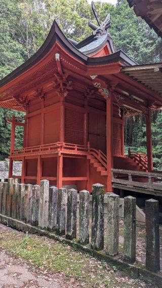 春日神社の参拝記録(こまいぬおさん)