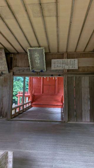春日神社の参拝記録(こまいぬおさん)