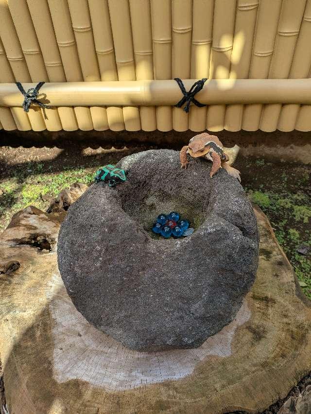 蛙希望の石（高円寺氷川神社　境内）の写真1