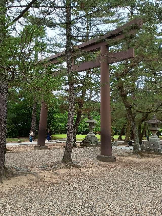 松の参道の鳥居の参拝記録1