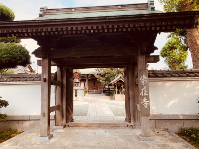 神奈川県海老名市社家3746 常在寺の写真1