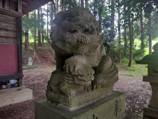 星宮神社の参拝記録(さとみさん)