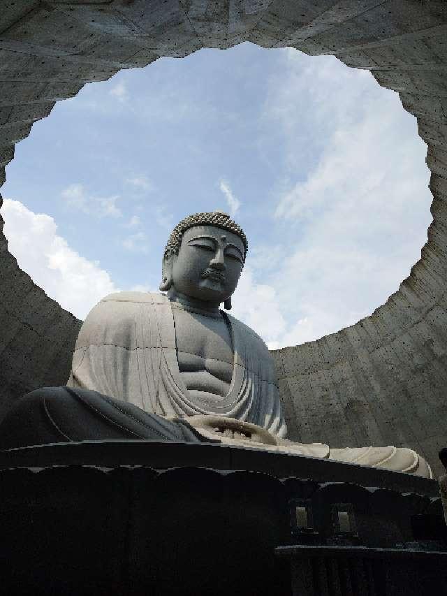 頭大仏殿の写真1