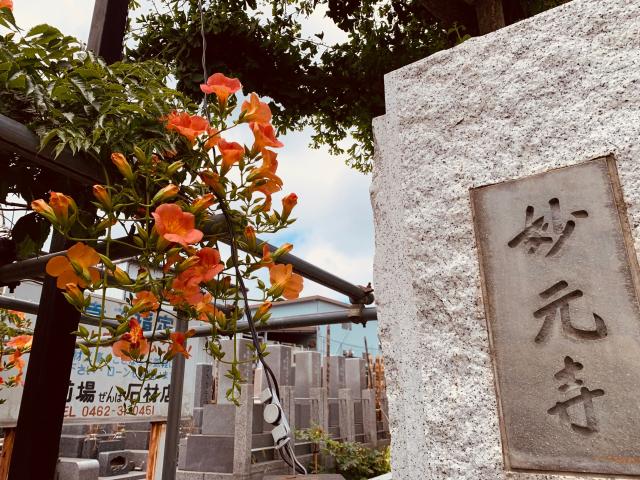 神奈川県海老名市大谷南3-29-16 妙元寺の写真1