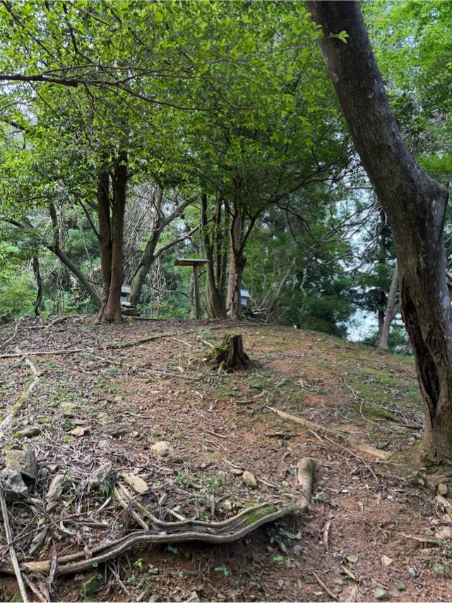 天戸岩戸別神社　（天戸岩戸別神社　境内）の写真1