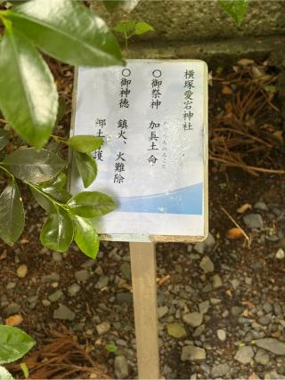 横塚愛宕神社の参拝記録(こーちんさん)