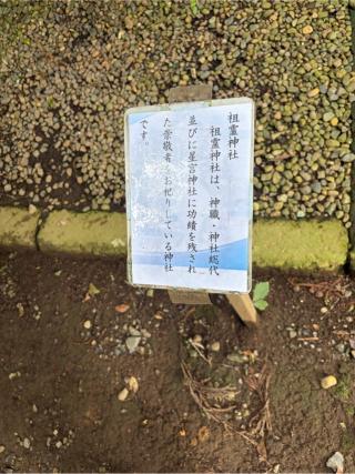 祖霊神社の参拝記録(こーちんさん)