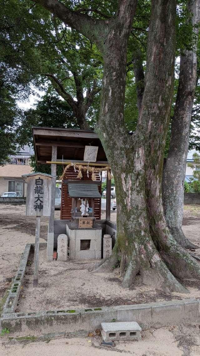 白龍大神 (白山姫神社)の写真1