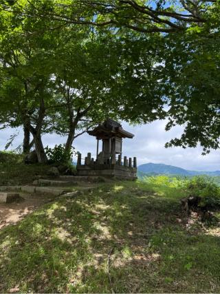 若一神社（金刀比羅神社　境内）の参拝記録(⛩️🎠🐢まめ🐢🎠⛩️さん)