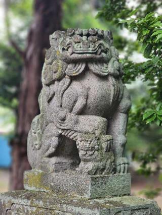 大和神社の参拝記録(たけちゃ～ん⚾さん)