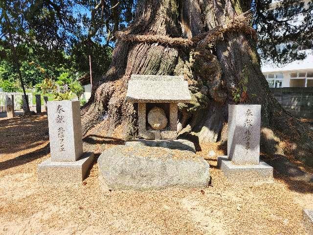 若宮神社の写真1