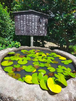 霊鷲山 極楽寺の参拝記録(でこポンさん)