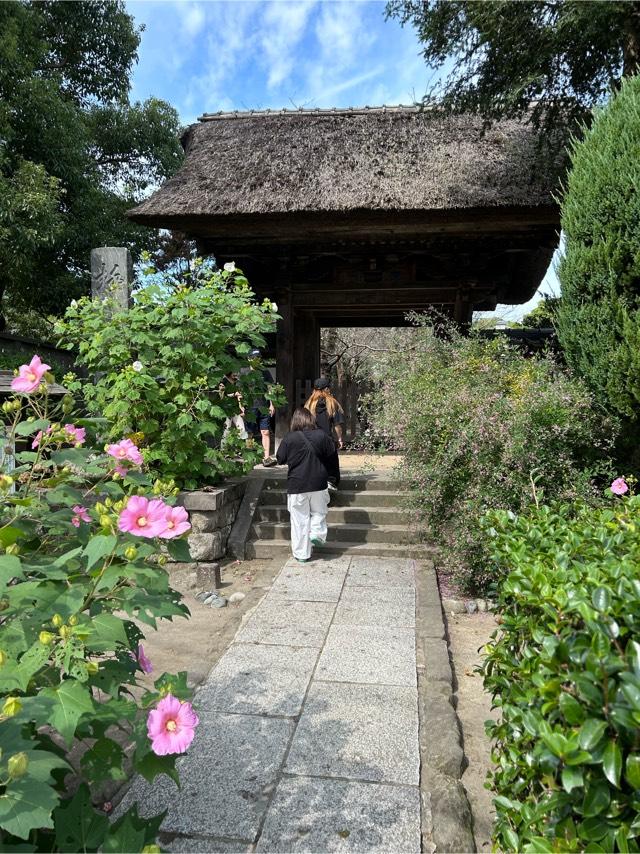 霊鷲山 極楽寺の参拝記録4