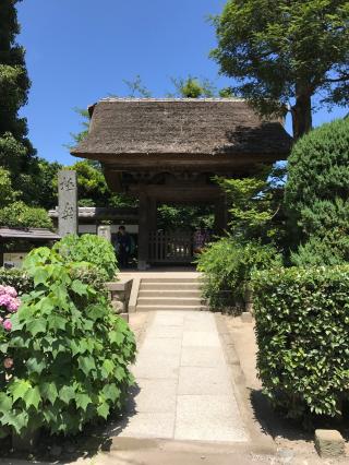 霊鷲山 極楽寺の参拝記録(ロカさん)