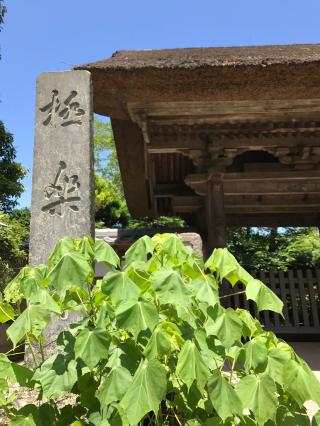 霊鷲山 極楽寺の参拝記録(ロカさん)