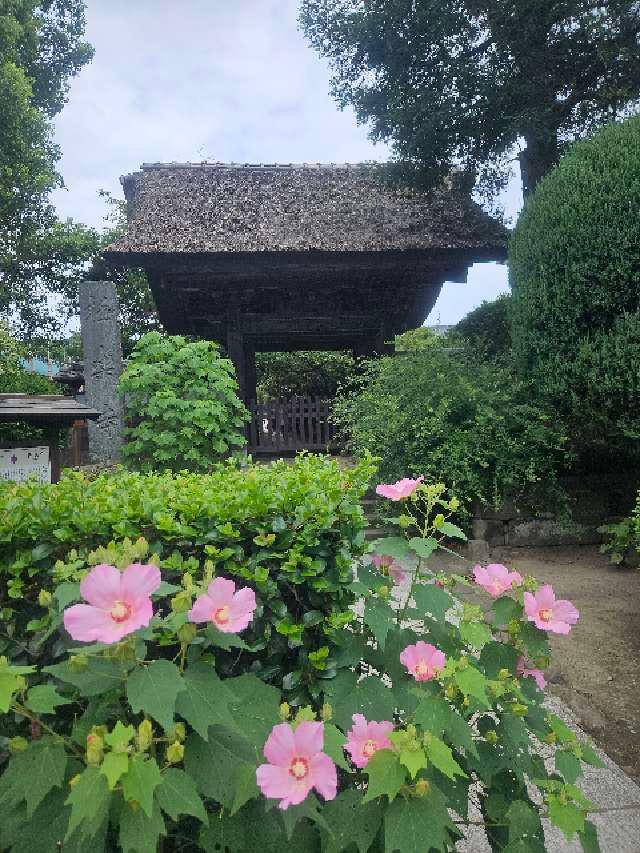 霊鷲山 極楽寺の参拝記録10