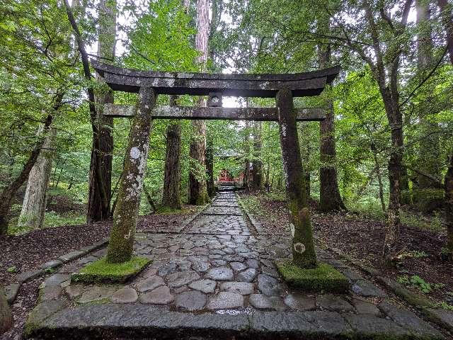 運試しの鳥居の写真1