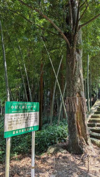中村天神社の参拝記録(こまいぬおさん)